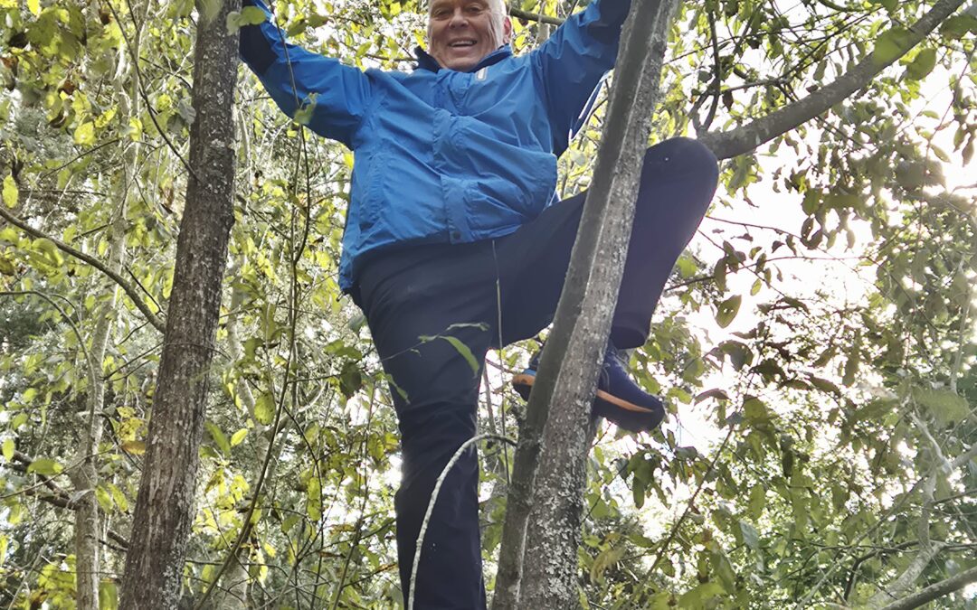 Vuoden 2025 kohokohtia Vellun silmin!